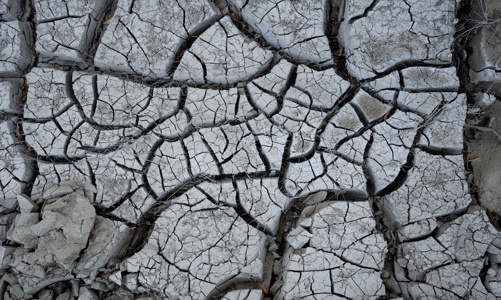 cracked dirt caused by dry conditions,
