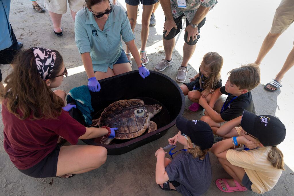 a photo of several children gathered around a sea turtle in a bucket