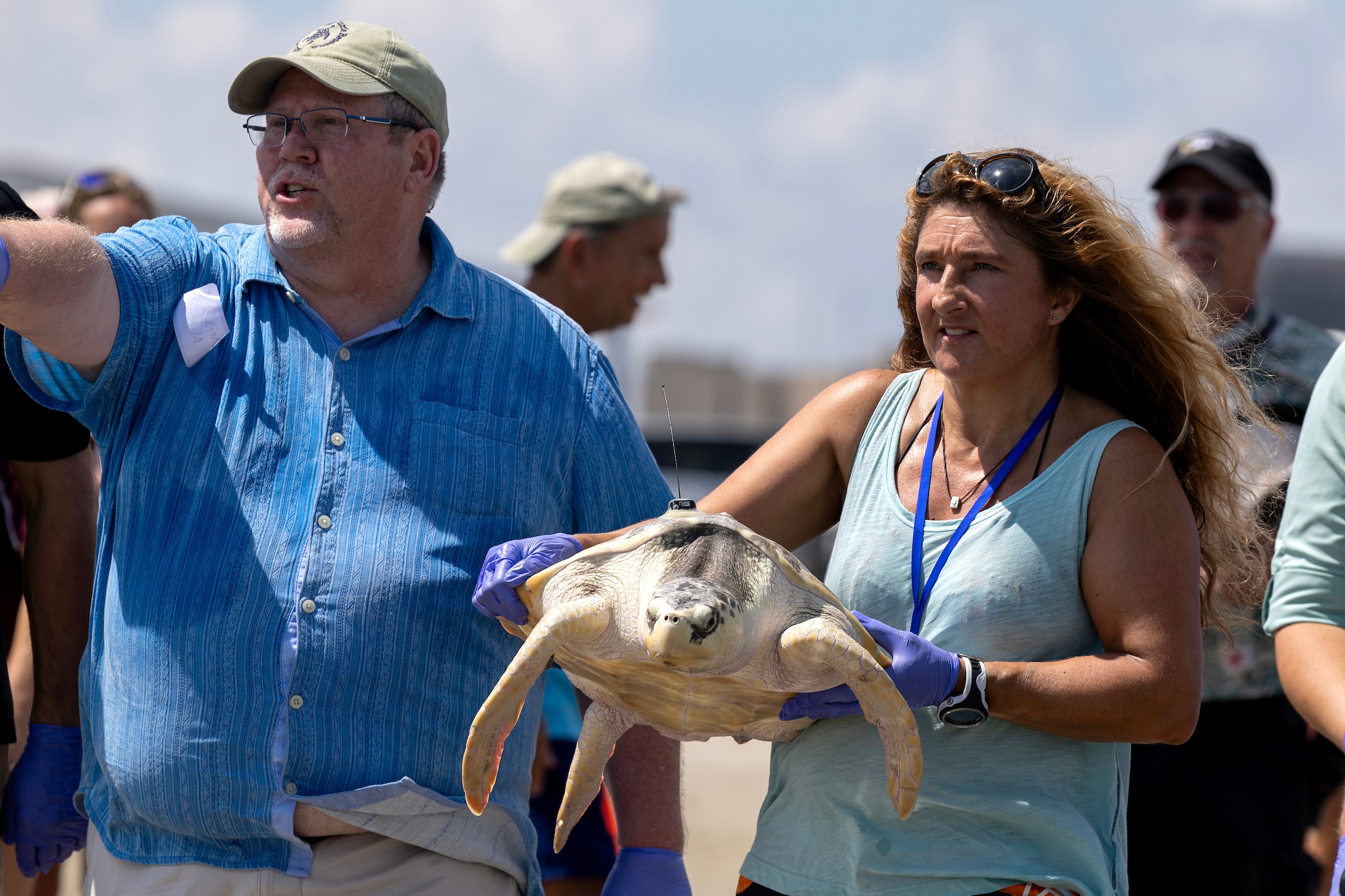 a photo of a woman holding a sea turtle by its shell