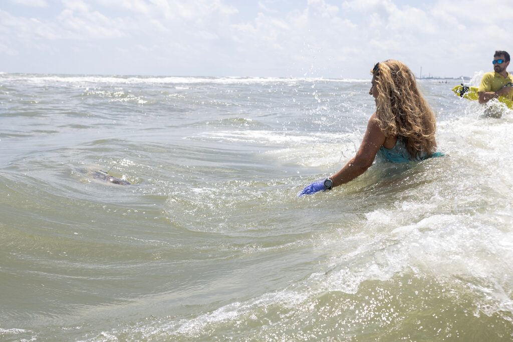 a photo of a woman in the water watching the shell of a sea turtle disappear into the waves