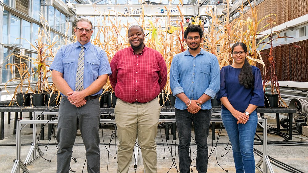 a photo of a group of people standing with arms folded in a greenhouse, with dry stalks of con behind them