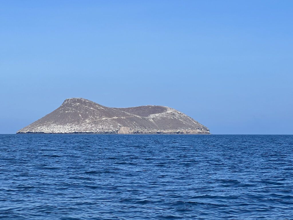 3) Daphne Major from the sea, Galápagos Islands, Ecuador