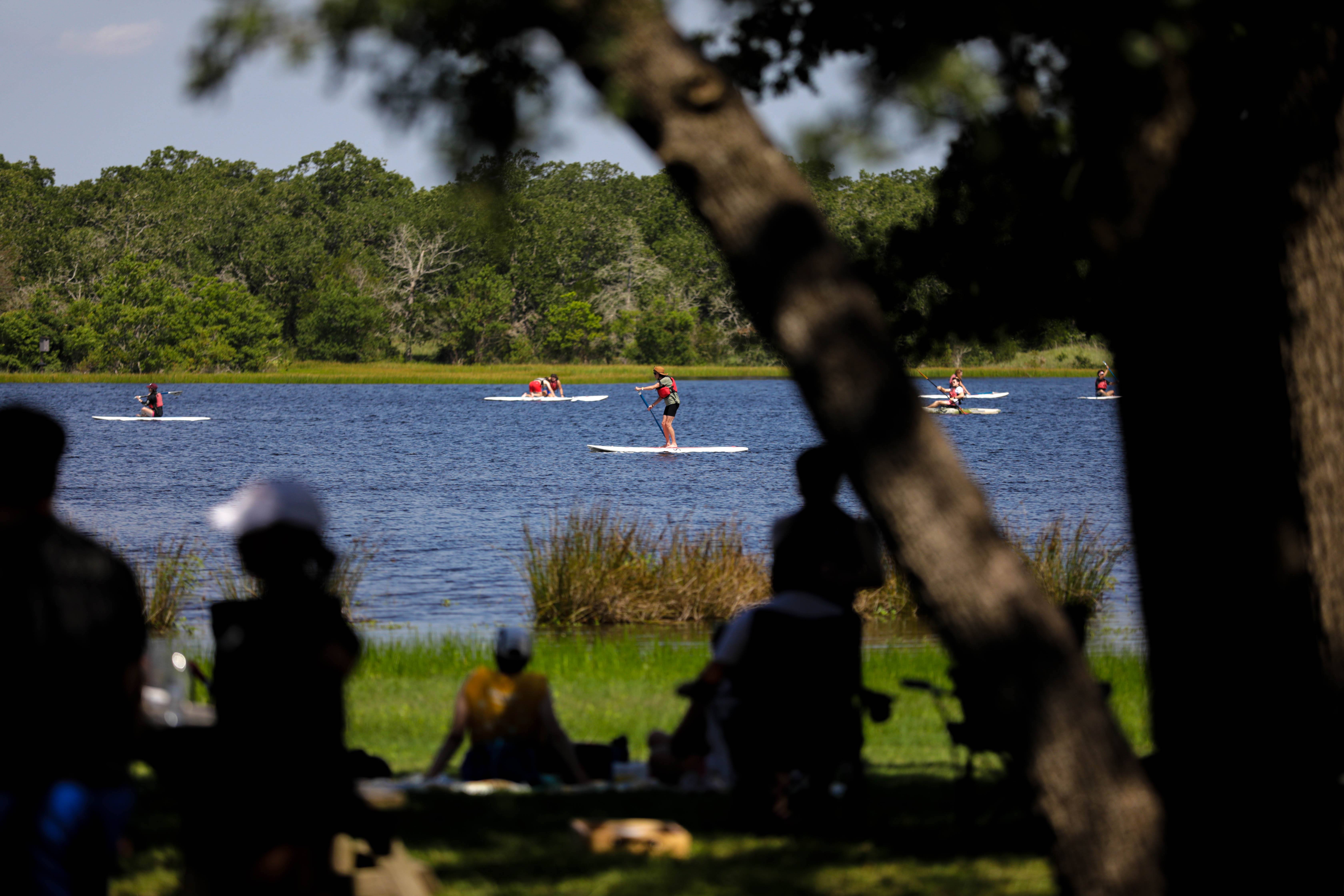 A photo of people at a lake on paddleboards.