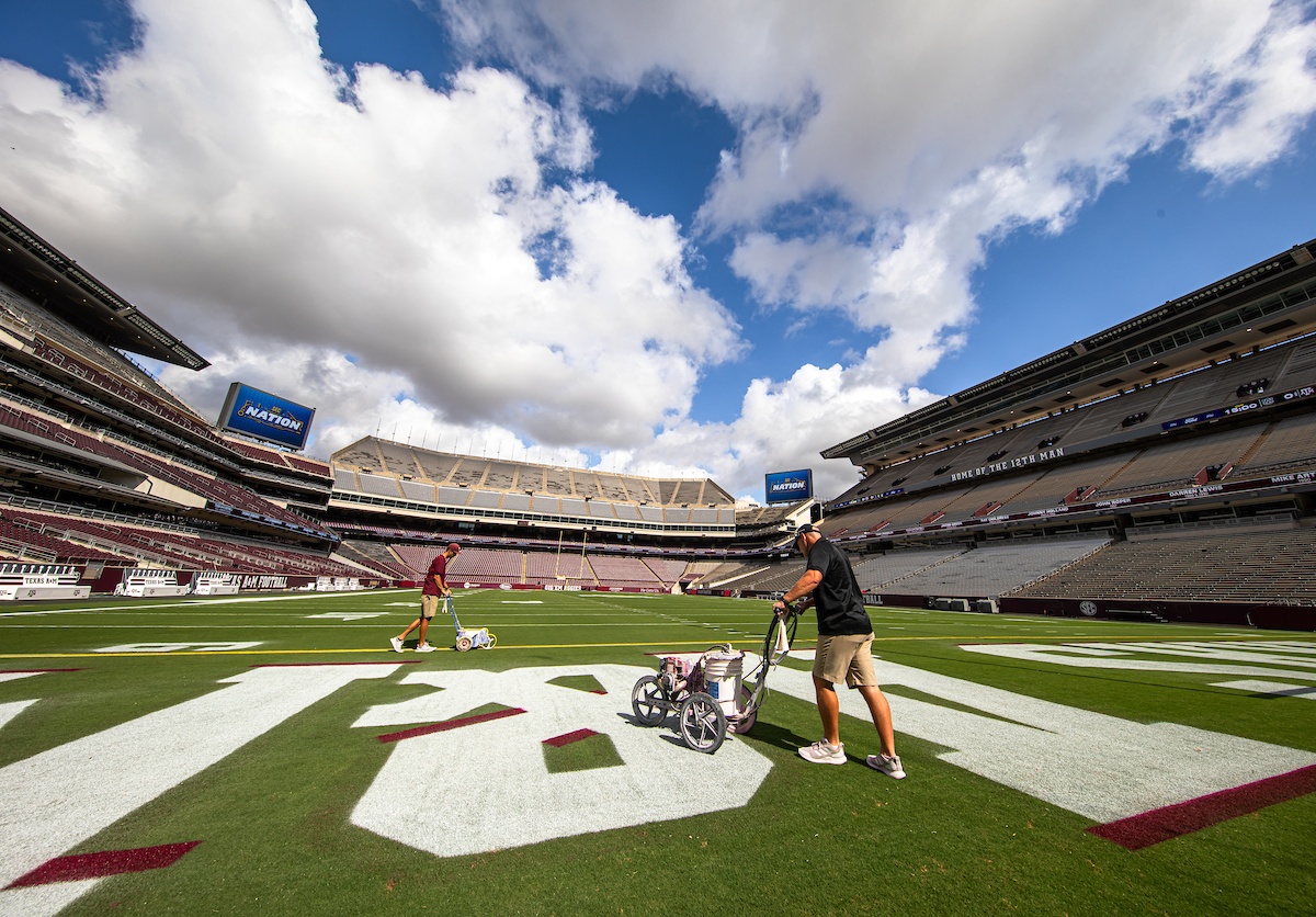 Kyle Field’s turf maintenance crew lines and paints the field in preparation for the Texas A&M vs. Auburn football game.