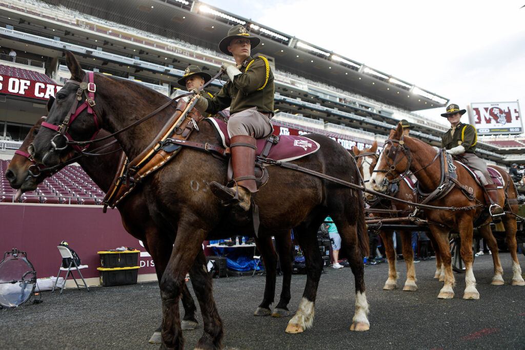 a low-angle photo of cadets on horses in Kyle Field