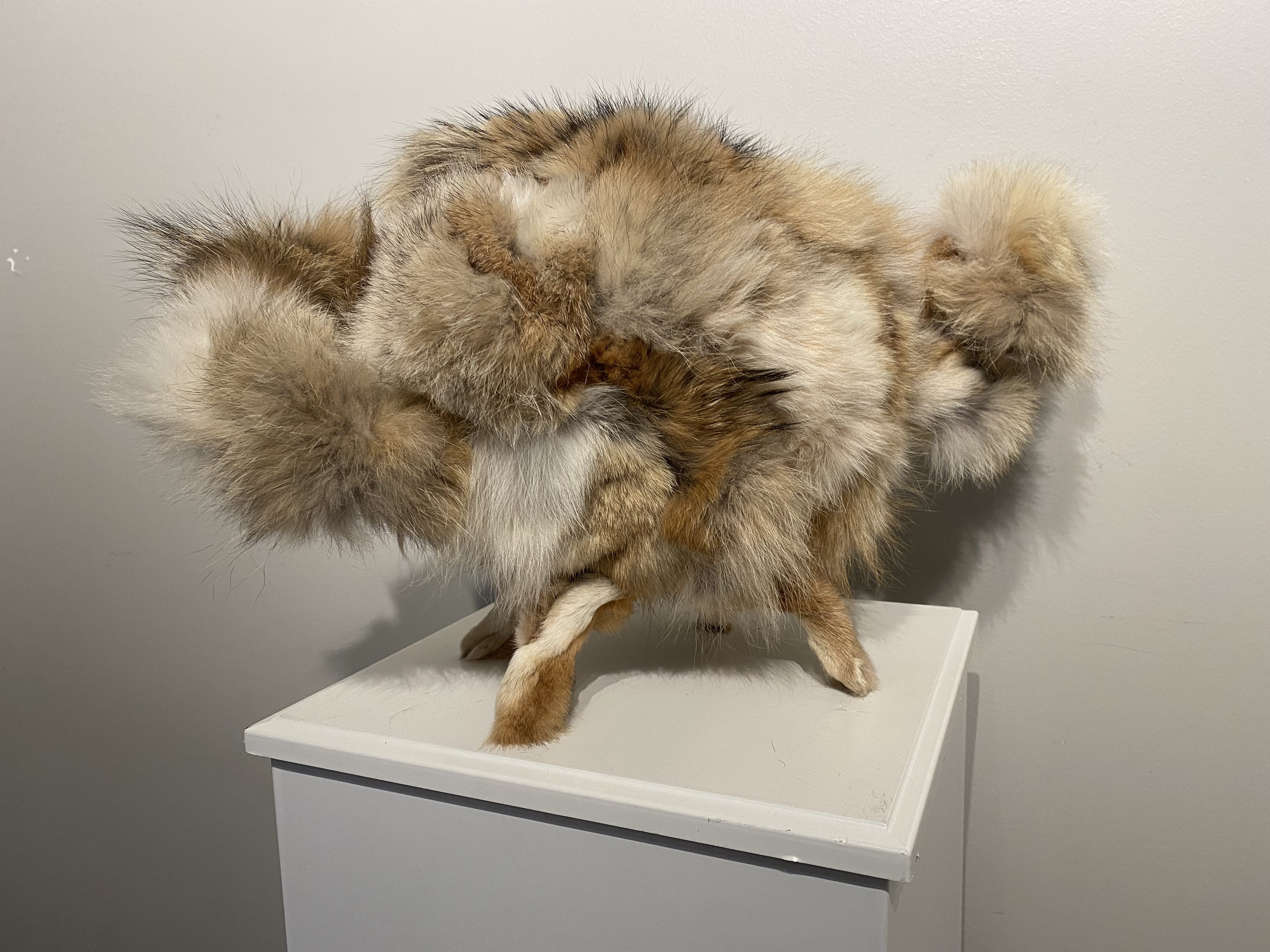 A photo of a sculpture featured in an exhibit at the Arts Council of the Brazos Valley.