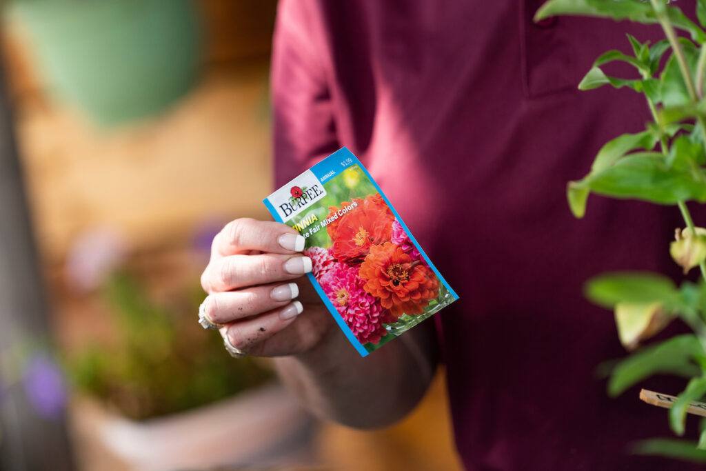 A woman's hand holds a flower seed packet. Only her torso is visible and she is wearing a maroon shirt.
