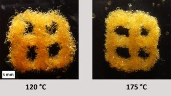 The shape-changing polymer ribbons can change their volume upon an environmental change, like temperature.