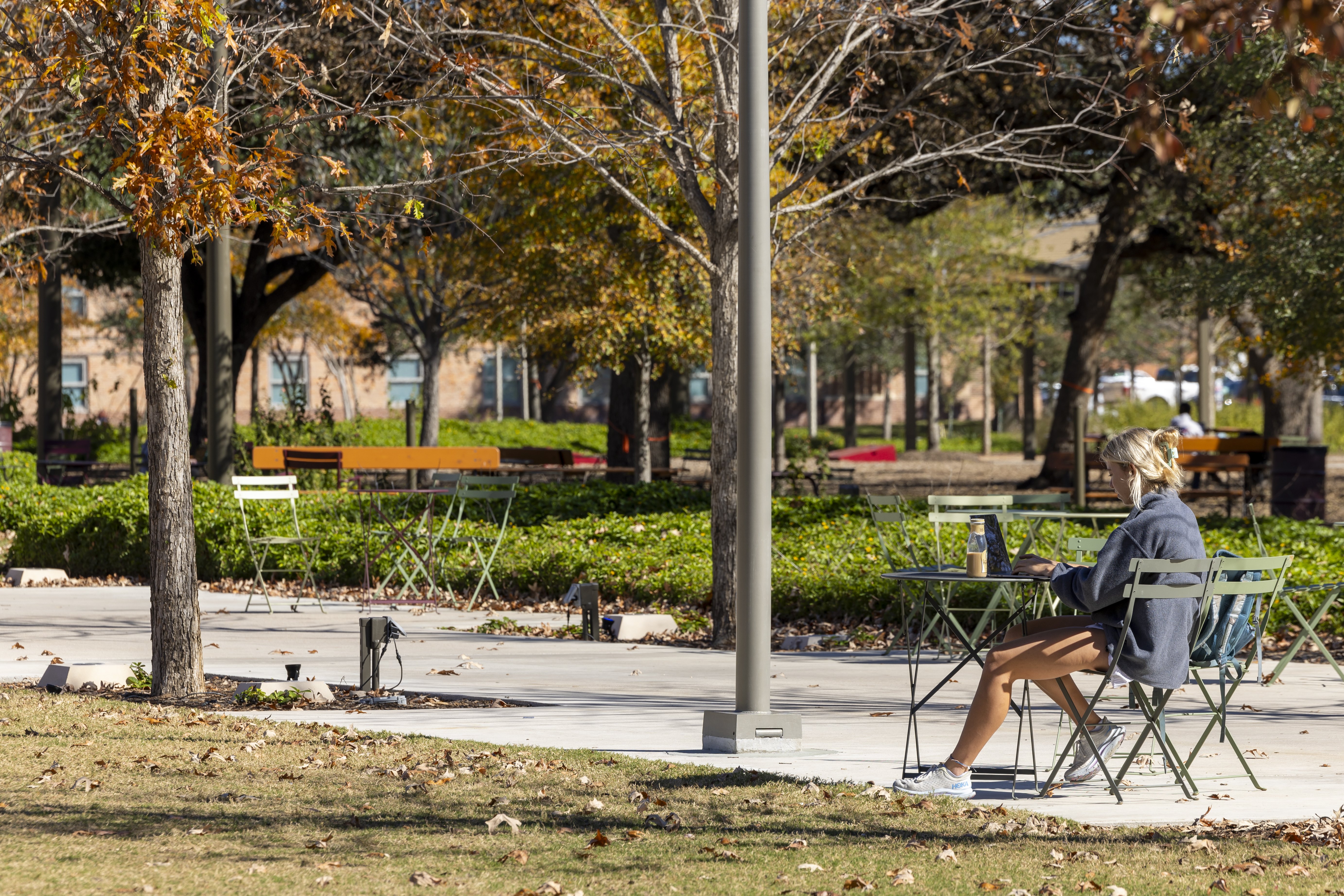 A photo of a woman sitting at a table on a plaza surrounded by trees and fall leaves.
