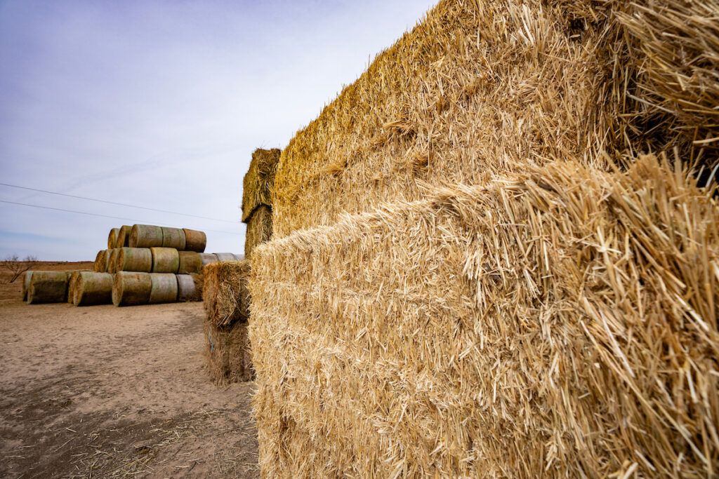 Stacked bales of hay