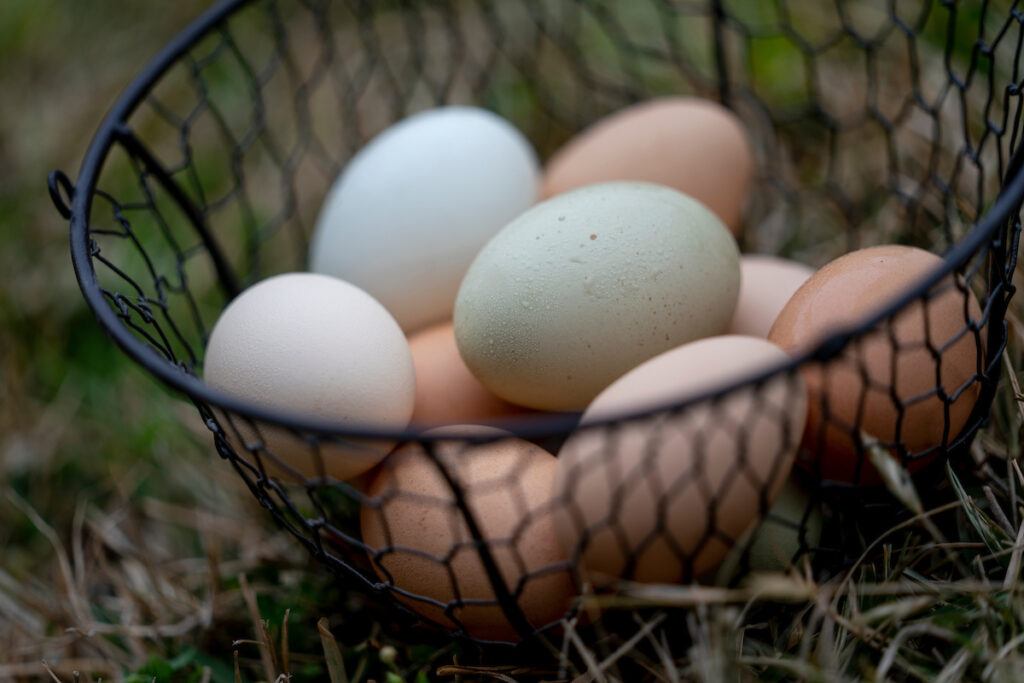 A wire bask filled with naturally colored eggs sitting in grass