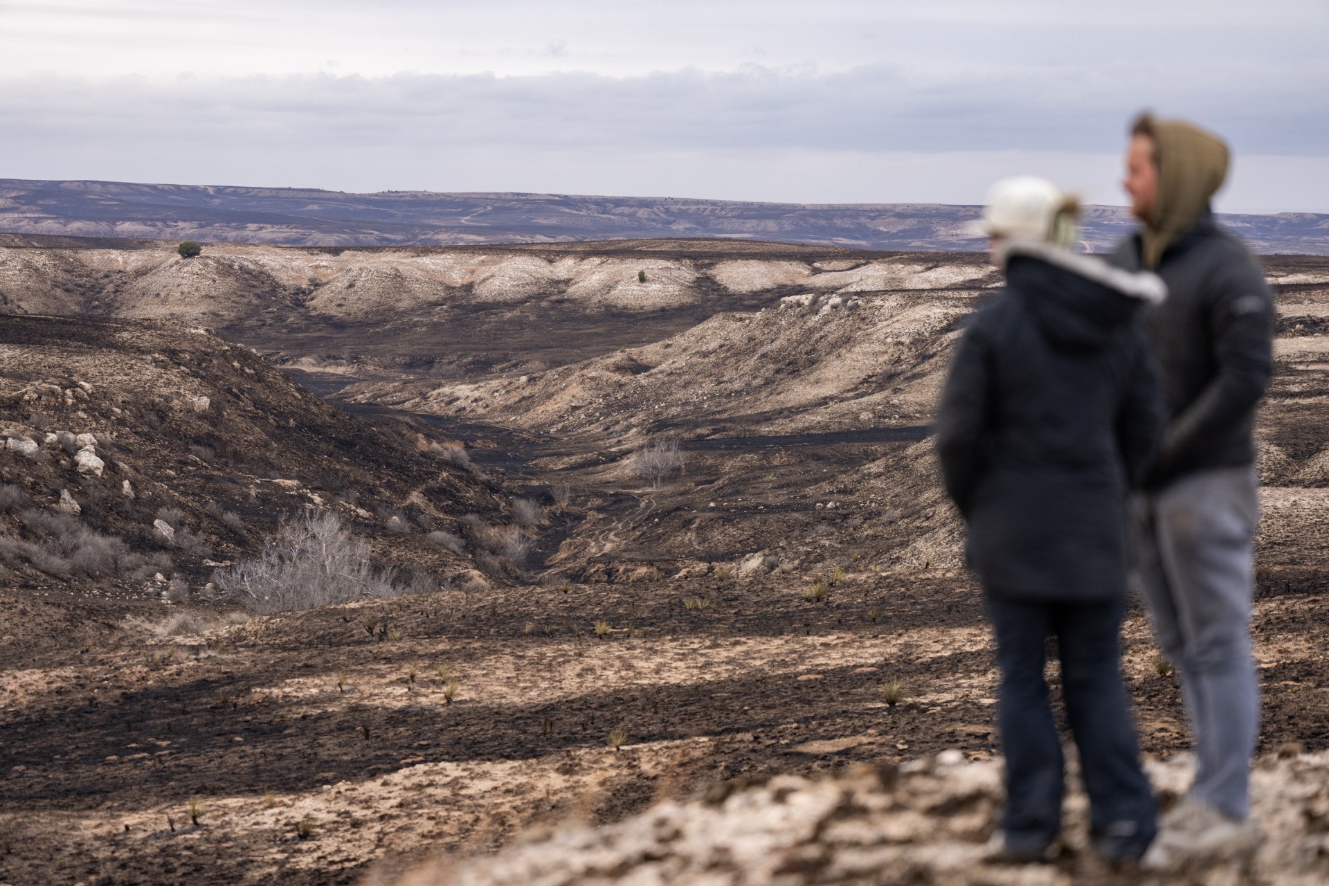 A man and a woman stand on a hill overlooking charred land burned in a fire