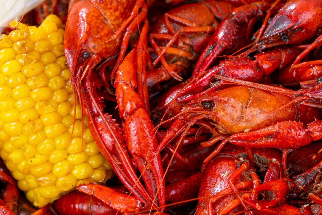 A photo of several crawfish and an ear of corn