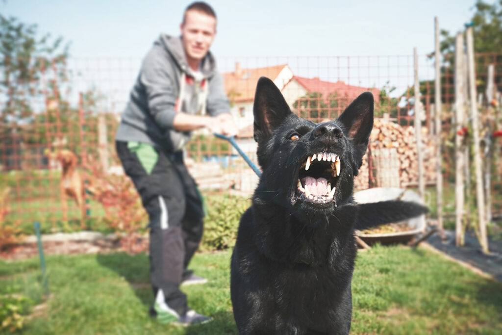 Young man with angry dog on the leash.
