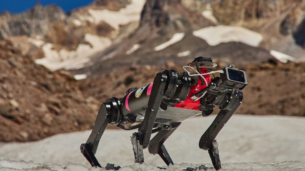 A photo of a four-legged robot in the snow on Mount Hood in Oregon.