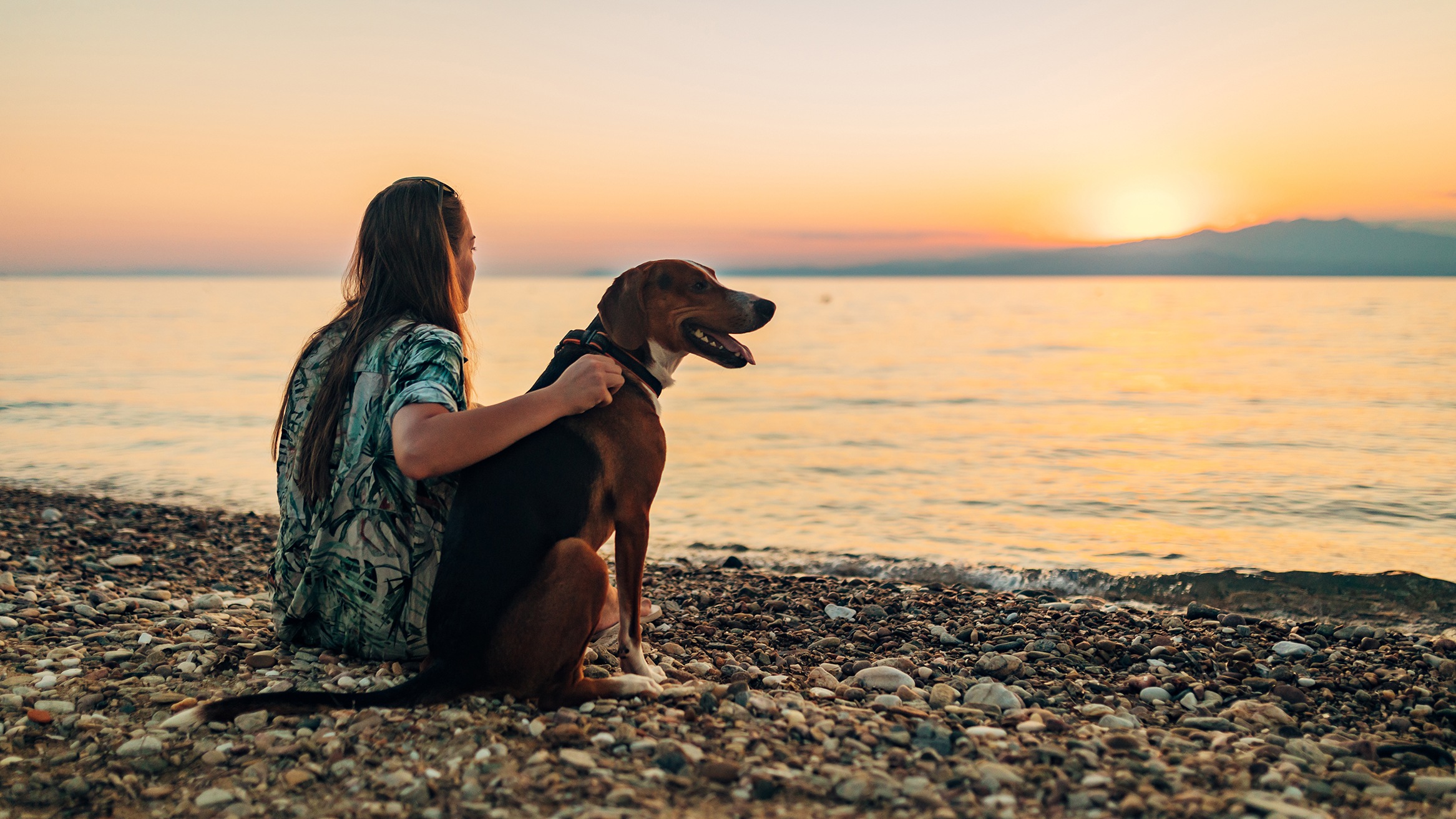 Back view of a woman sitting on the beach hugging her dog as they watch the sunset