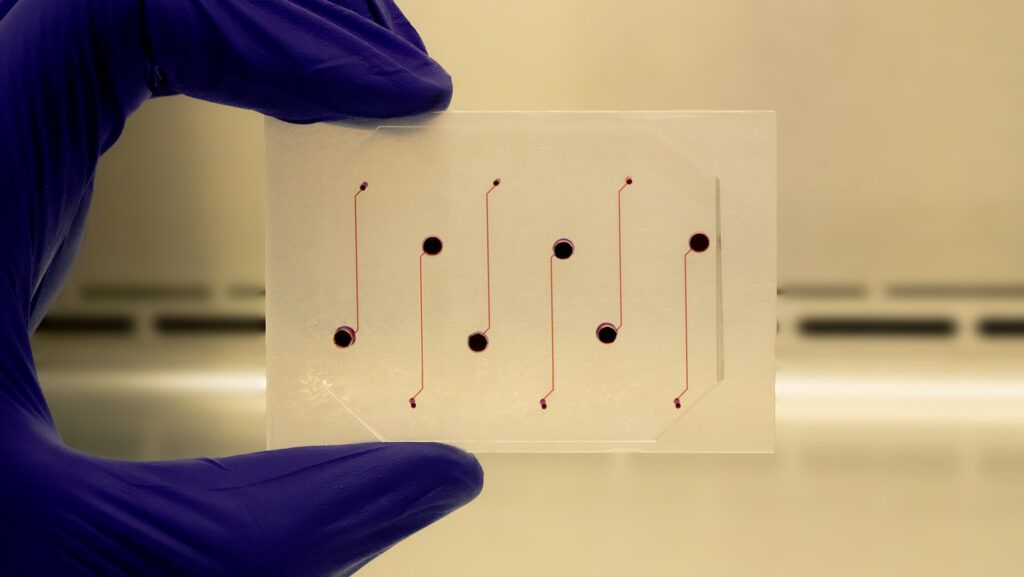 a gloved hand holding a vessel-chip
