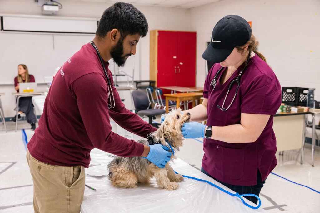 DVM students Mohan Iyengar and Cheryl Armstrong examine a patient at Operation Border Health Preparedness.