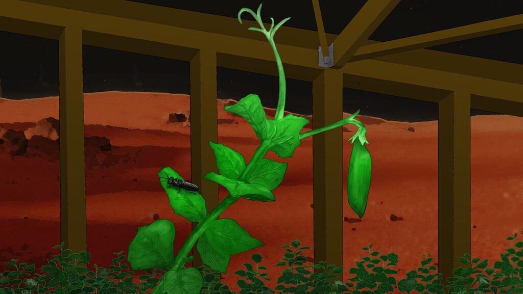 an artist's rendering of a pea plant growing on Mars