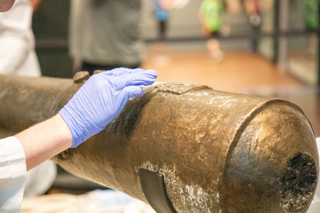 The Alamo cannon, post-acid solution treatment, which rapidly removed the carbonate blooms.