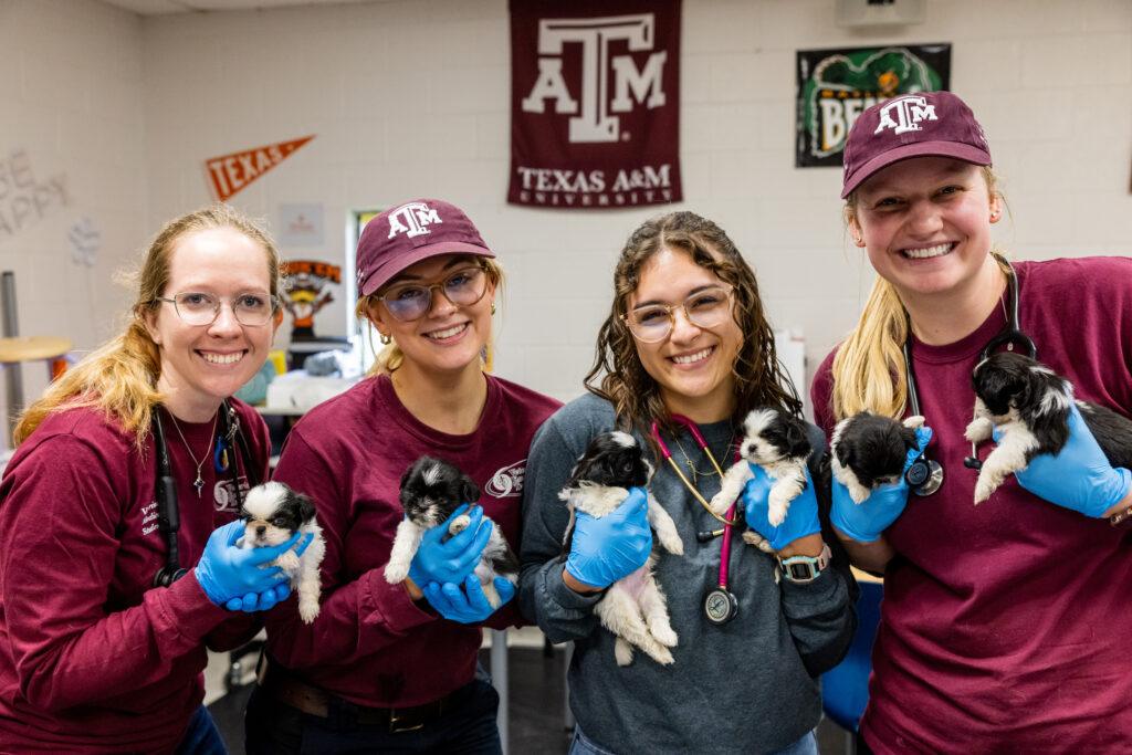 Four members of the Veterinary Emergency Team hold a litter of puppies.
