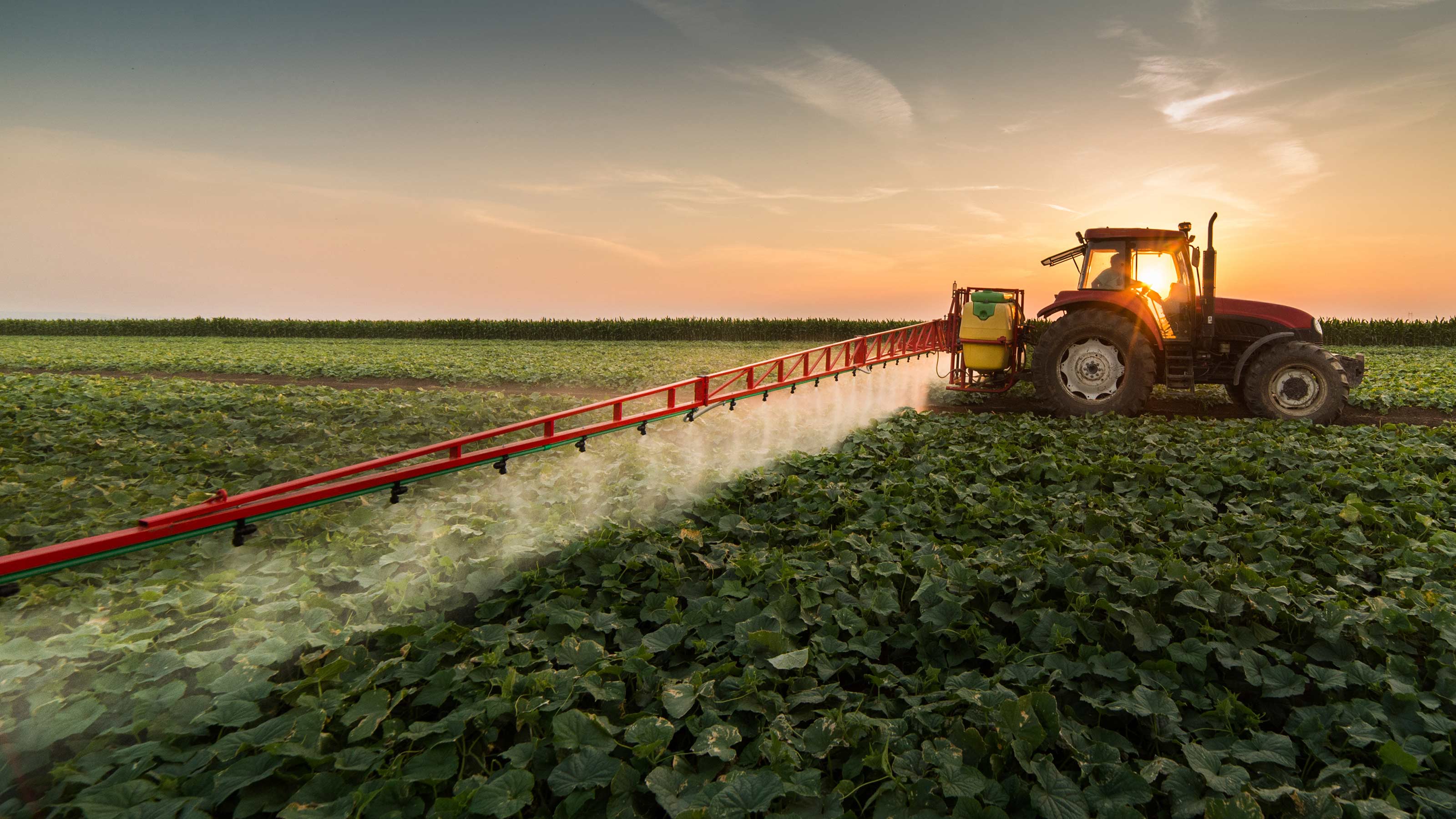 watering crops