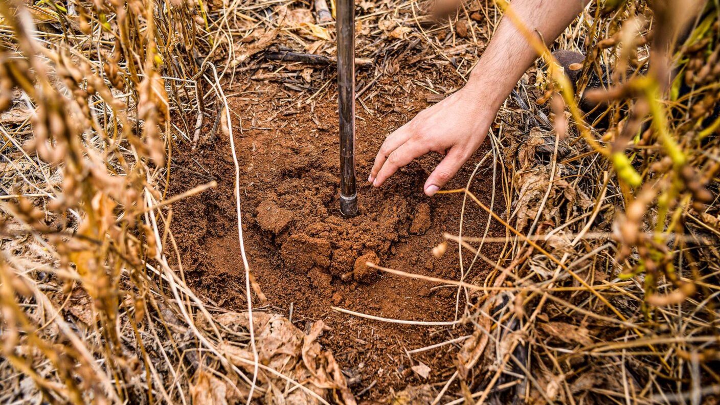 Collection of soil sample
