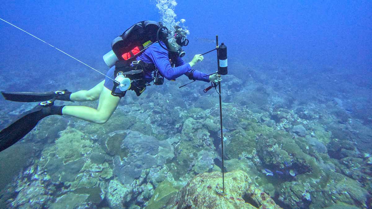 SCUBA diver with a pole repairs a receiver in the ocean