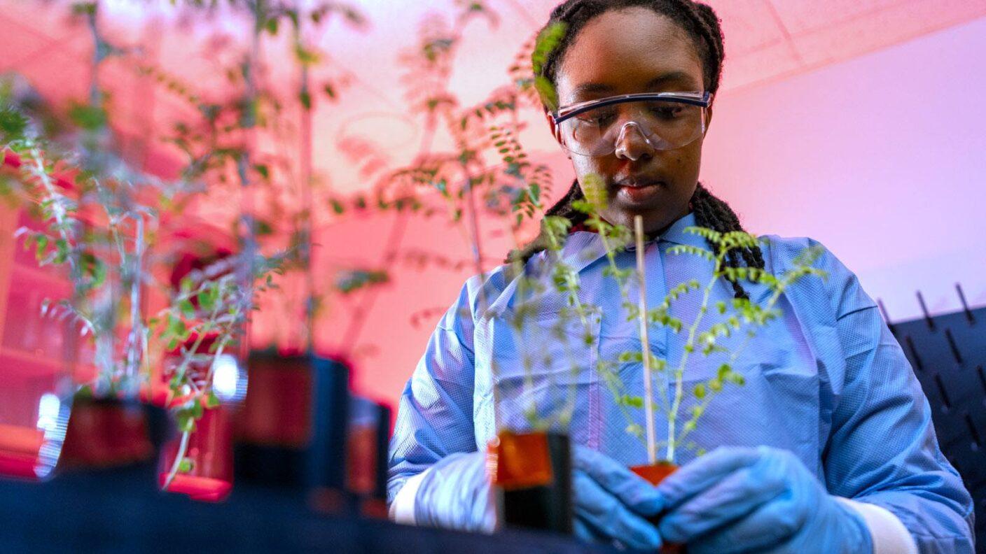 A scientist in lab goggles and protective gear picks up a small potted plant