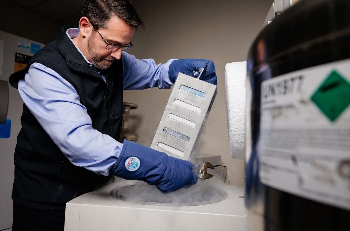 SEC Professor of the Year Dr. William Murphy pull out a container of genetic information from deep freeze