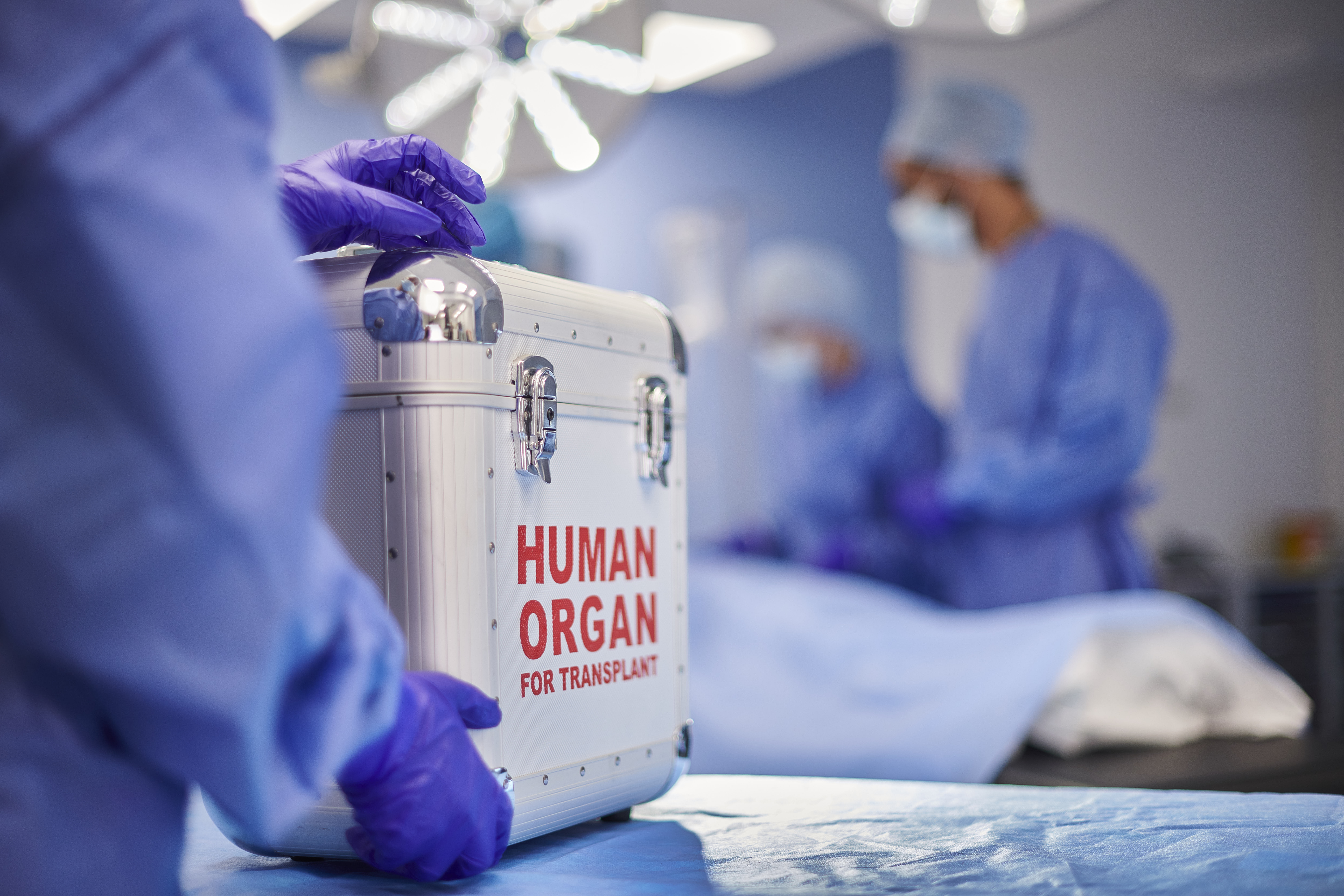 A photo of a human organ transplant container in an operating room.