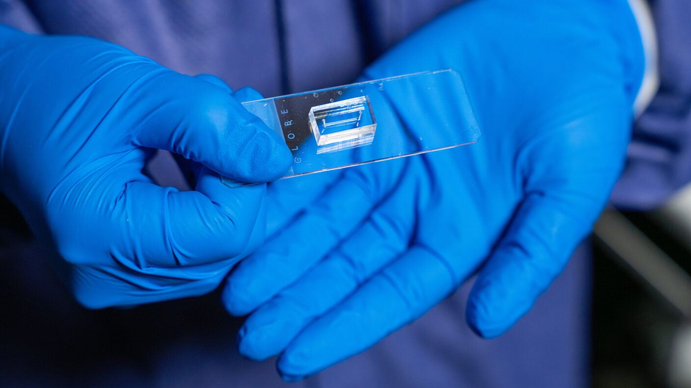 A photo of a gloved hands holding a vessel-chip used in vascular disease research.