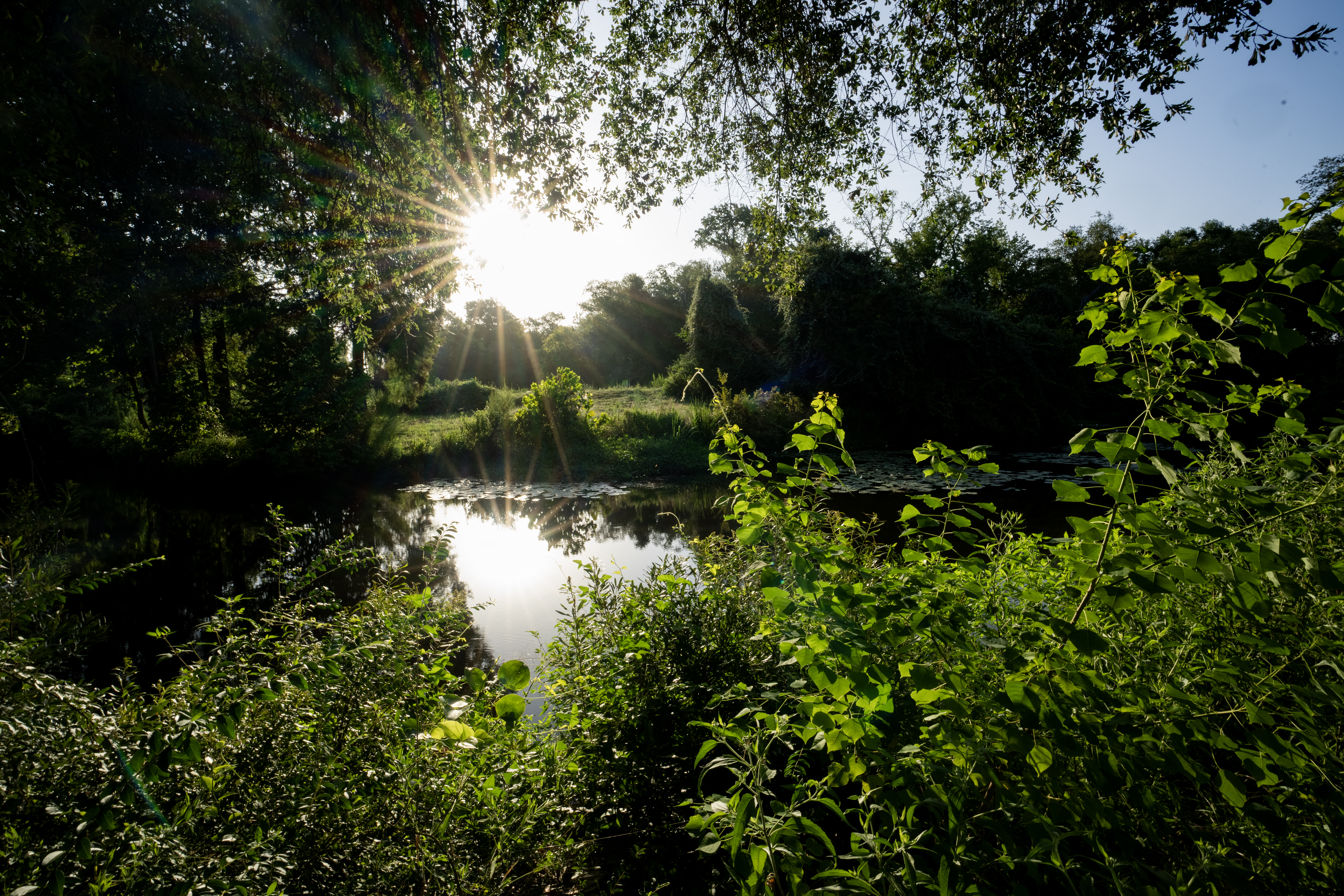 A photo of a sunrise over a creek.