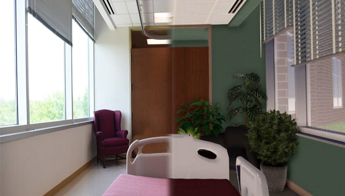 a split screen showing what study participants saw in their VR headsets -- on the right side is a room with green walls and plants, on the left is a standard room with white walls and no plants.