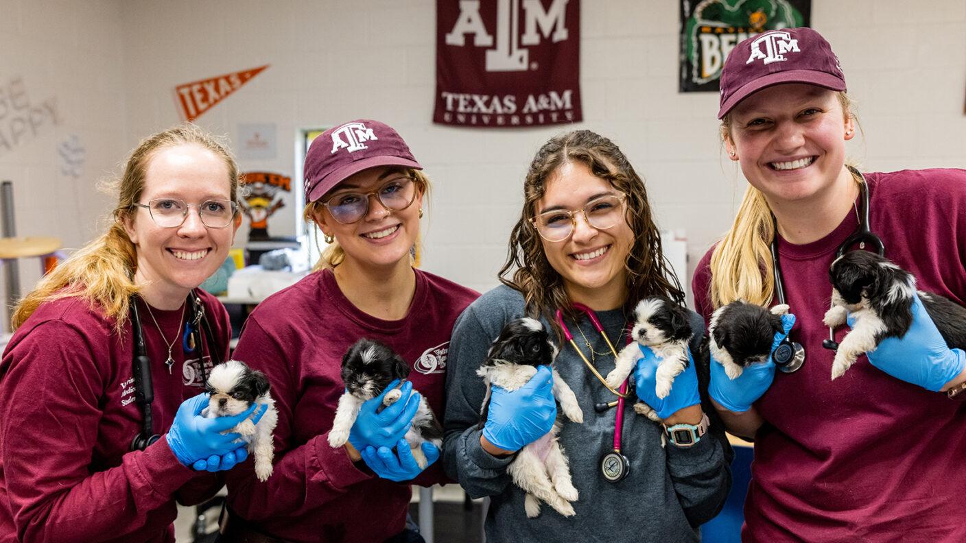A photo of four women holding black-and-white puppies.