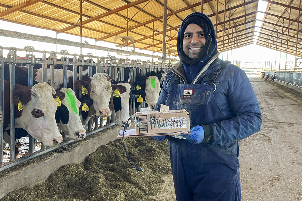 A photo of a man holding a device in a barn with cattle.
