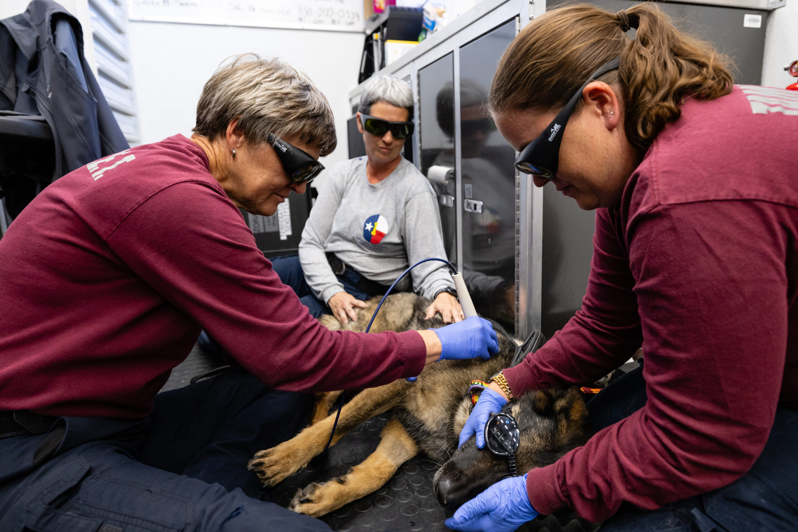 A photo of three women and a search dog while the dog is undergoing medical laser treatment for muscle soreness or injury.