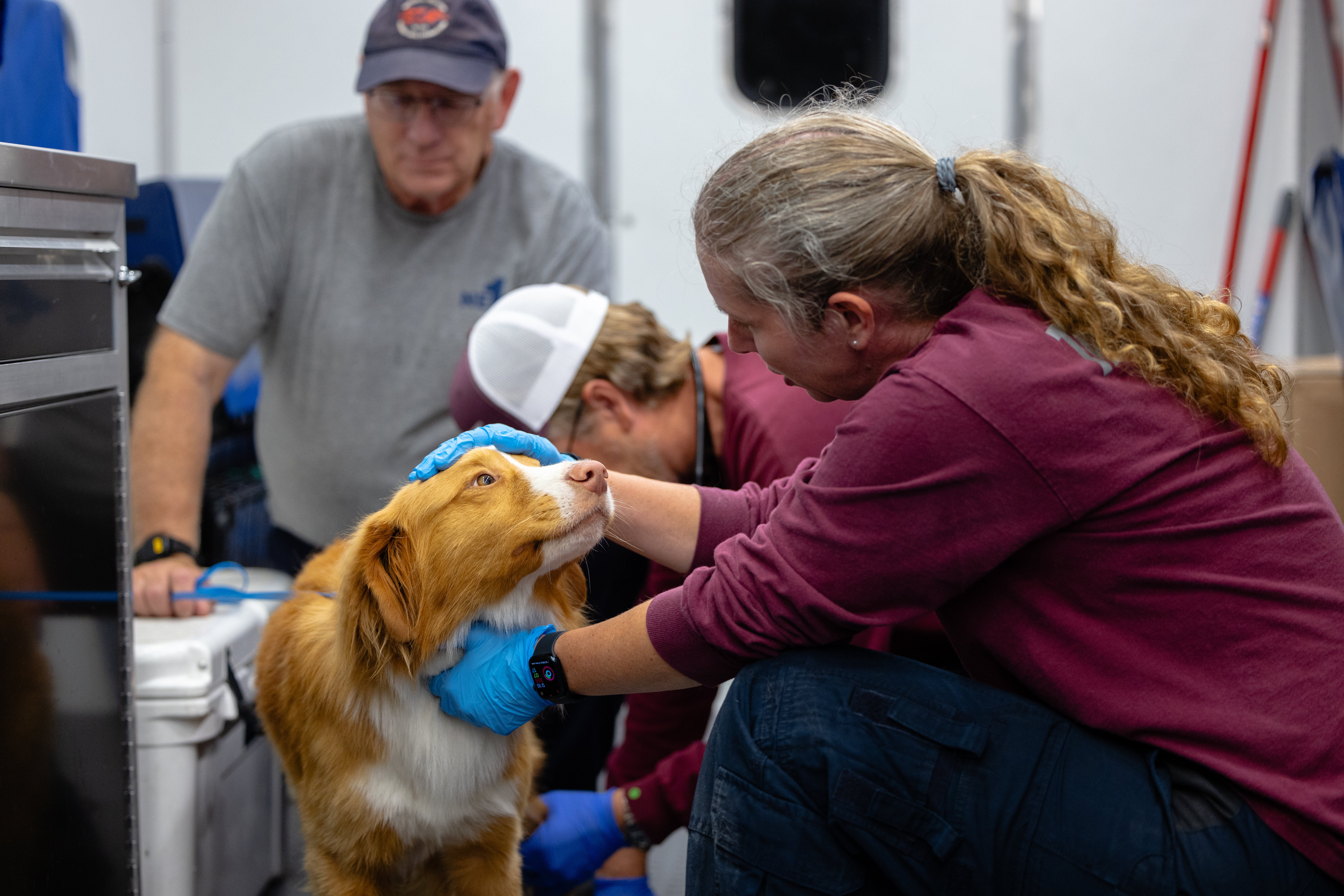 The Texas A&M Veterinary Emergency Team (VET) is working with Texas A&M Task Force 1 and other states' Task Force 1 search and rescue dogs stationed at Tivy High School in Kerrville, TX. This is to ensure the safety of the dogs as they might grow tired or get injuries searching for survivors and victims of the floods to hit central Texas on July 4, 2025.