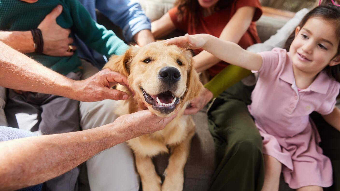 Smiling multi-generation family petting their golden retriever while sitting on a sofa in their living room at home