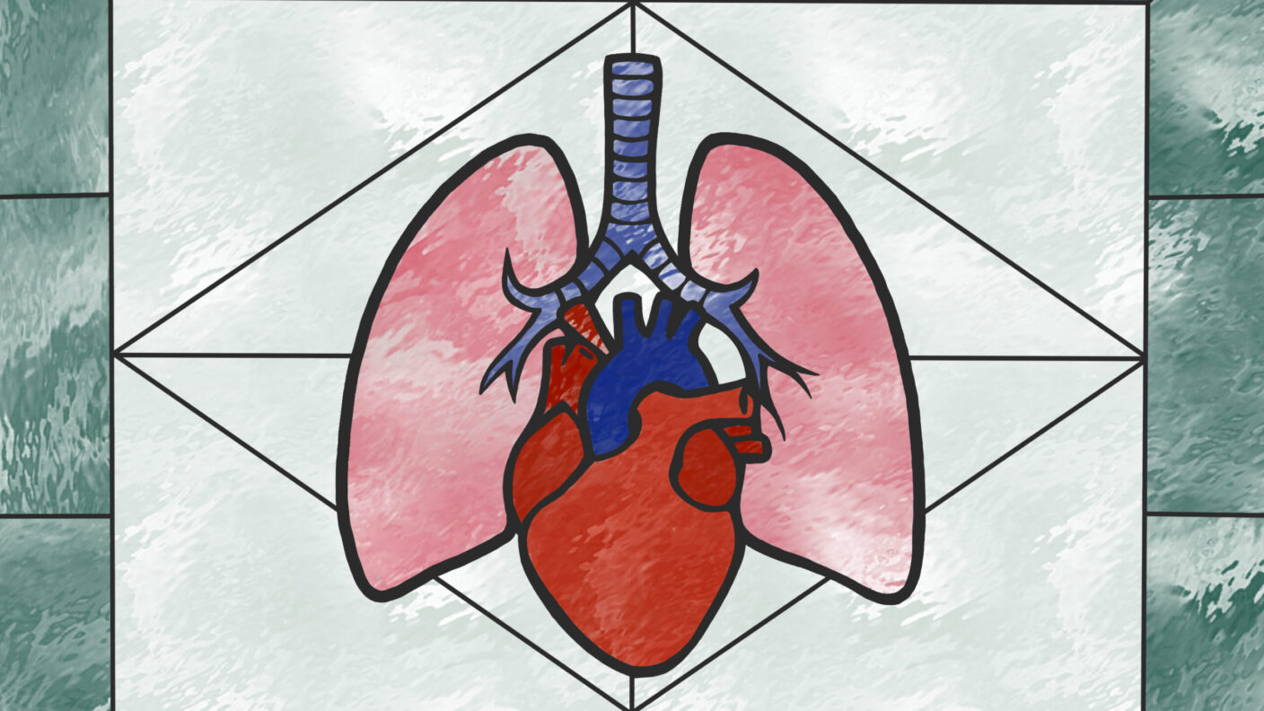 An illustration of a stained glass window showing human organs.