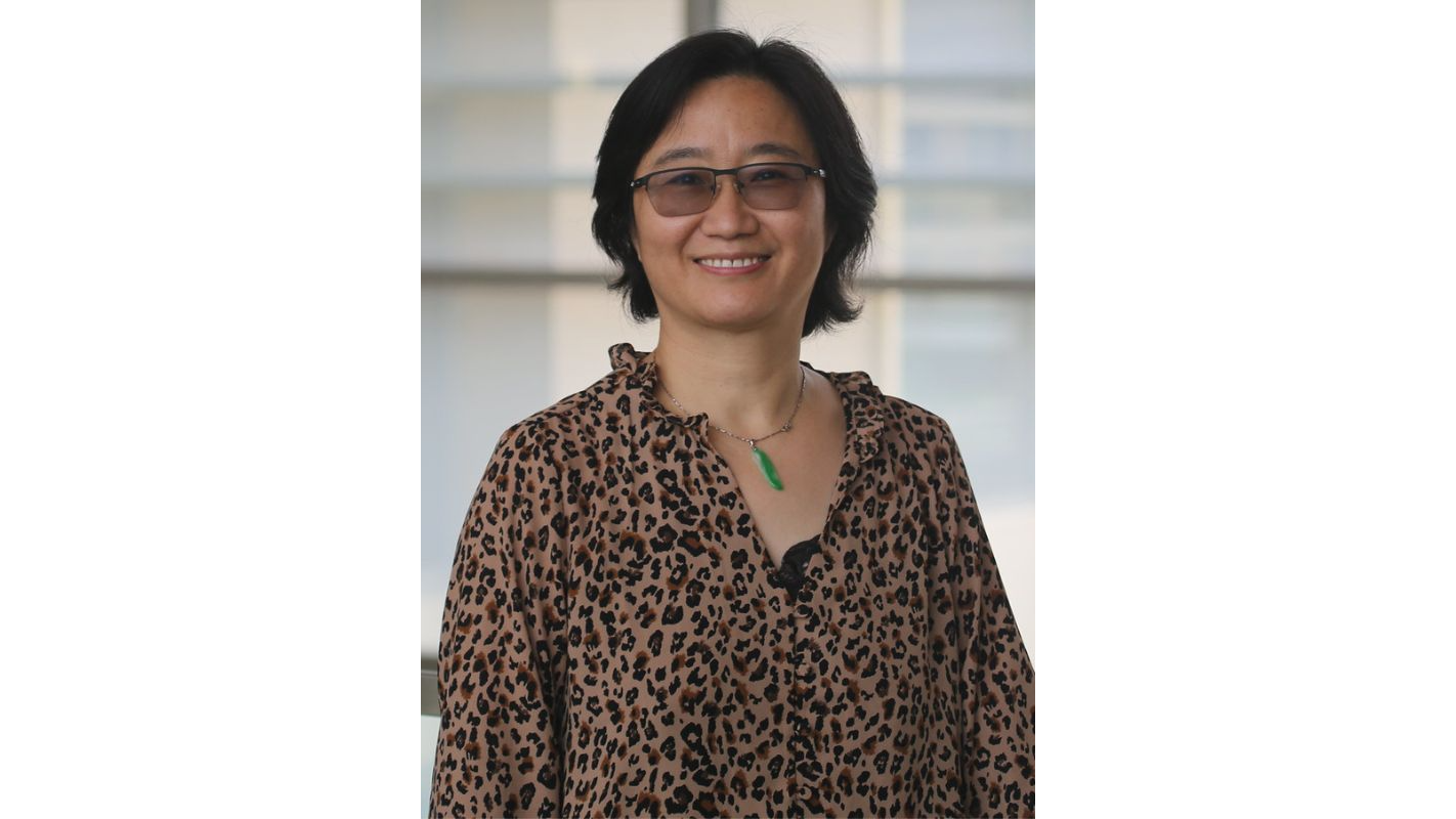 Image depicting Dr. Hongmin Qin