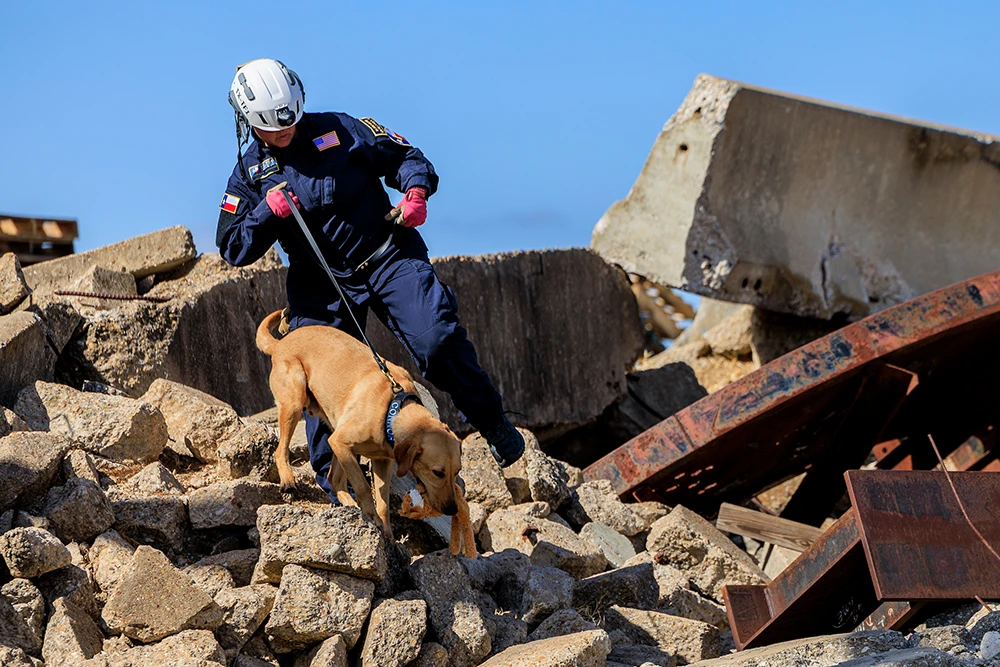 Participants at Disaster City moving through rubble with a search and rescue dog