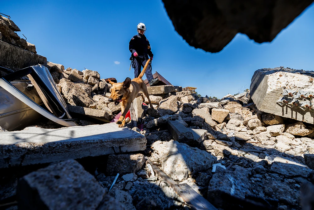 Search and rescue dog leading the way through rubble at Disaster City