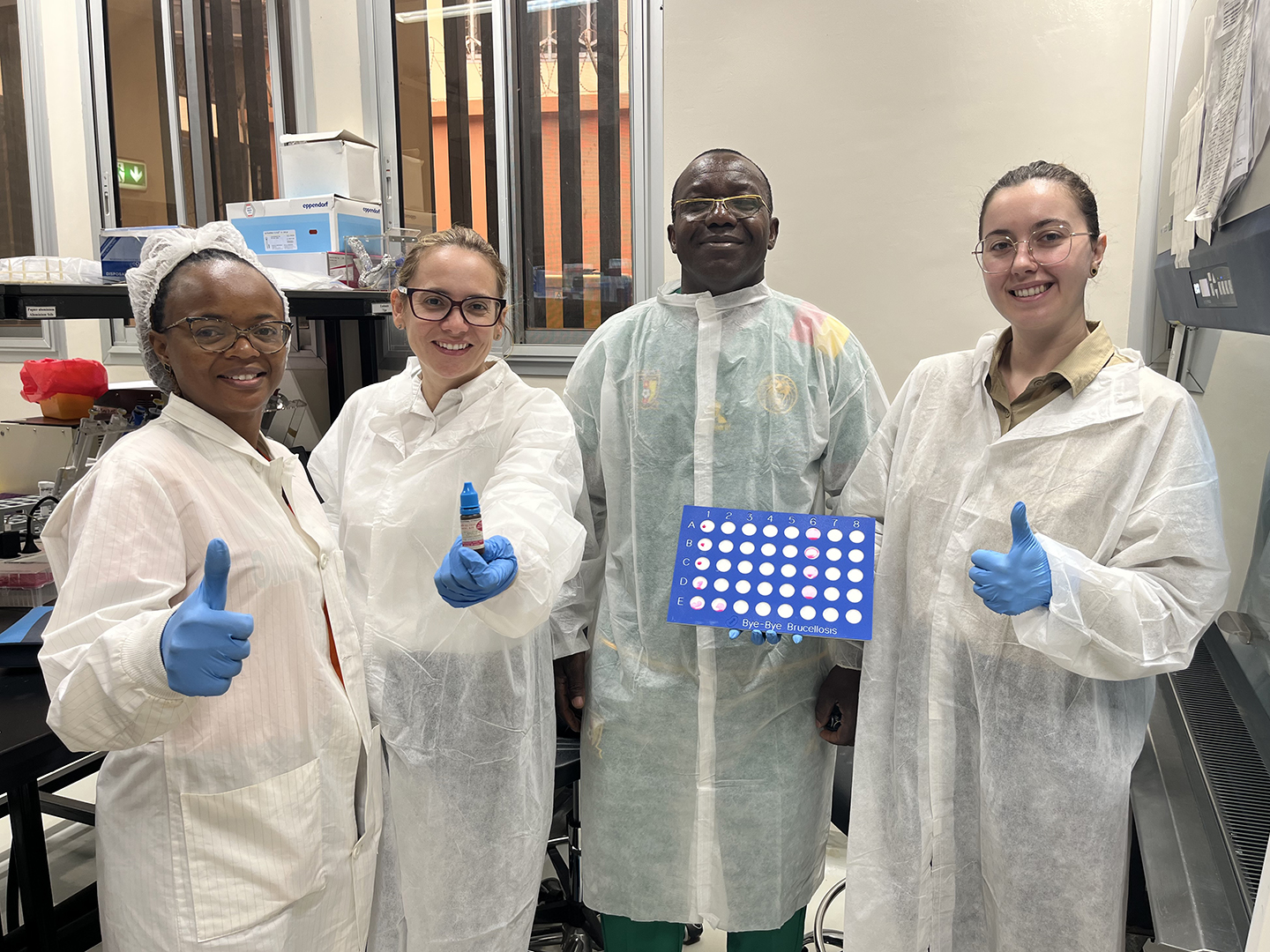 Texas A&M research team identifies species of brucellosis-causing bacteria in Cameroon