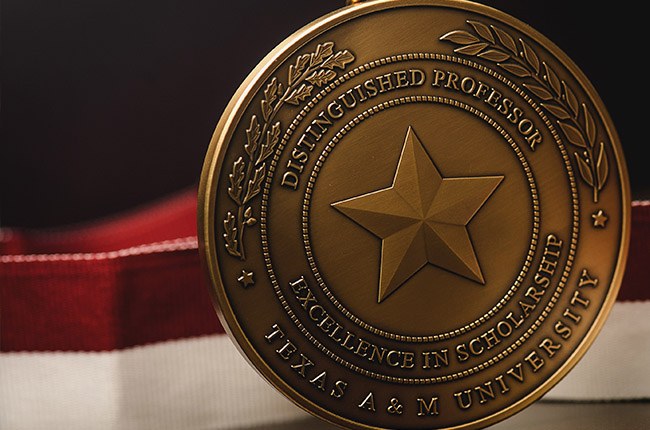 Distinguished Professor Award