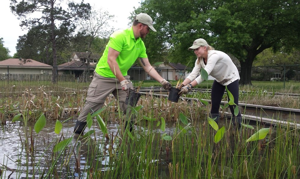 Hearron and Hinson standing in wetlands and passing each other potted plants