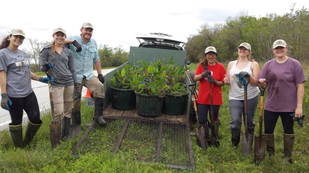 Students studying the wetlands smile in front of a truckbed full of plants