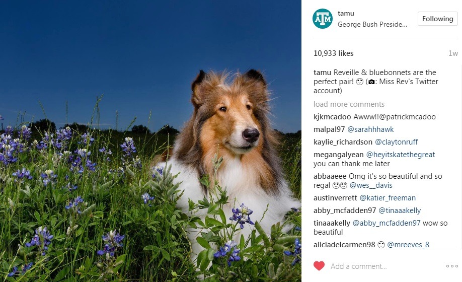 instagram screen cap