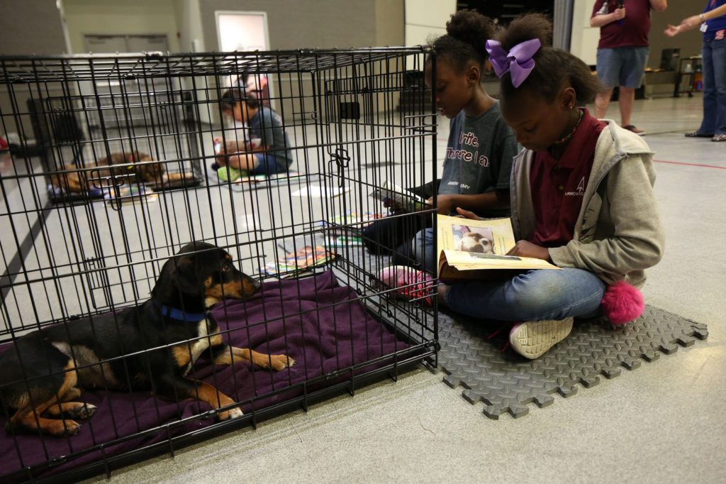 Two girls reading with dog in cage