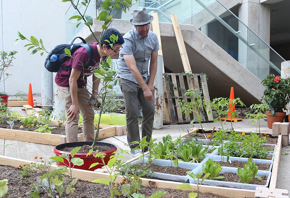 Jeremy Merrill talks with a student about plants.